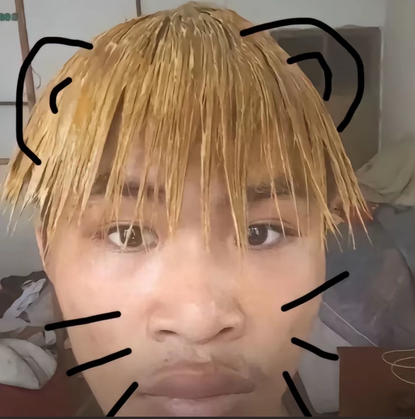雾会