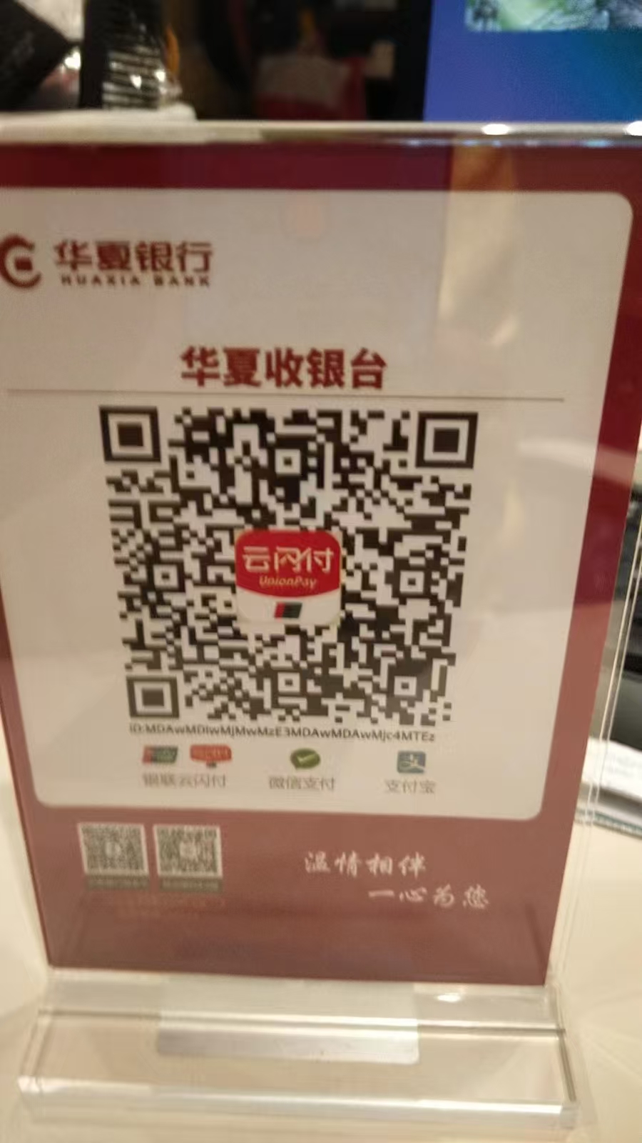 哈哈哈zz