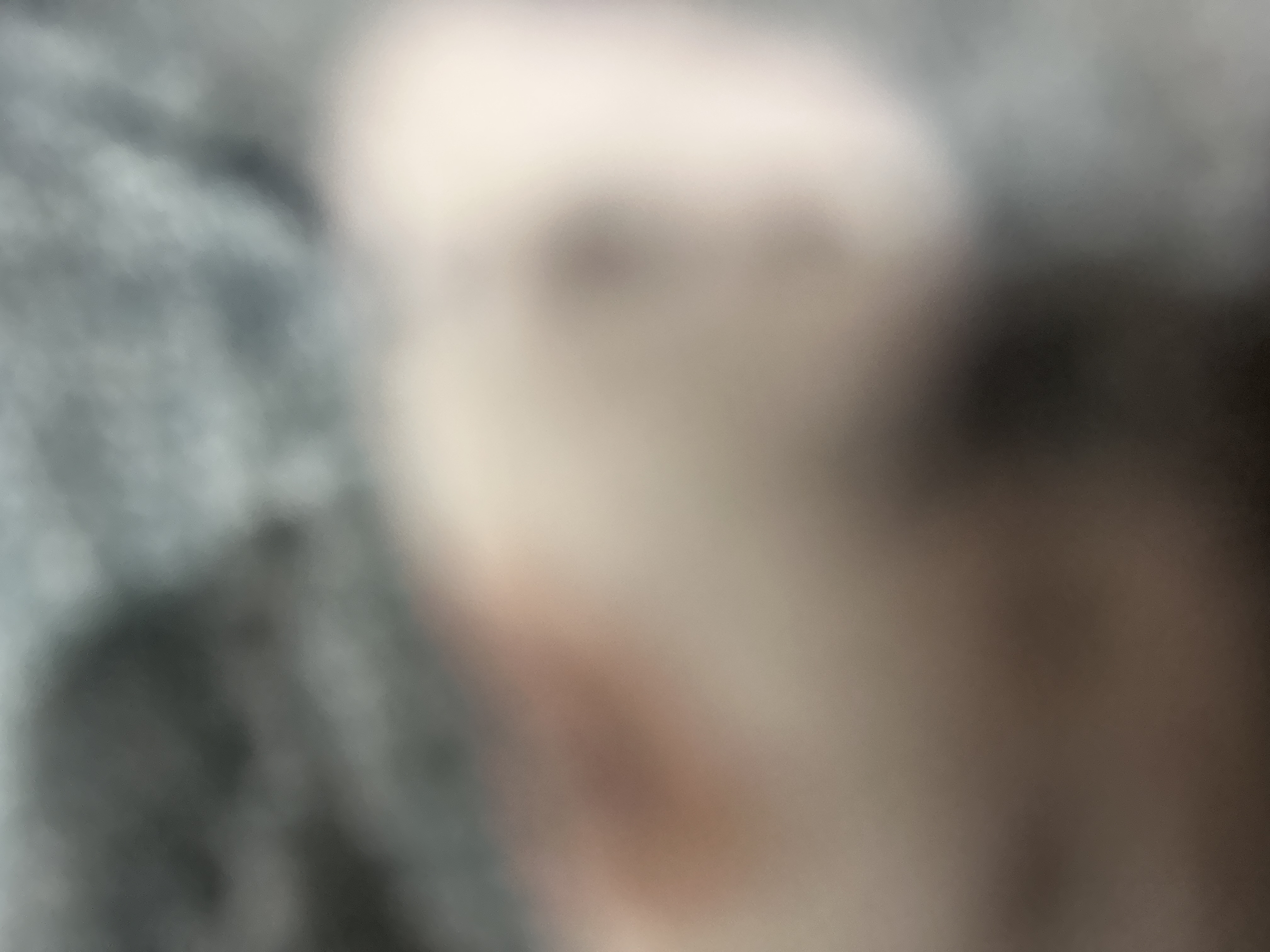 znb666